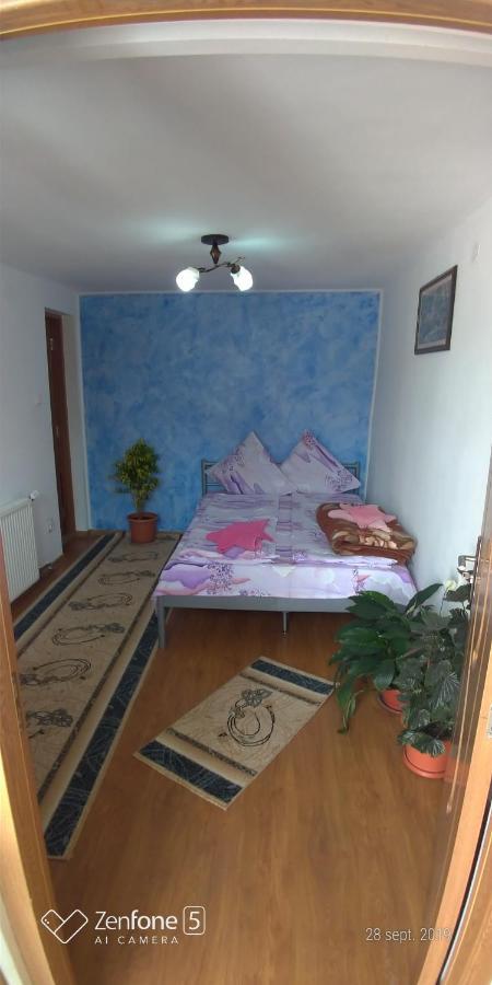 Ferienwohnung Casa Ana Haţeg Exterior foto