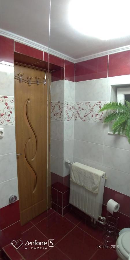 Ferienwohnung Casa Ana Haţeg Exterior foto